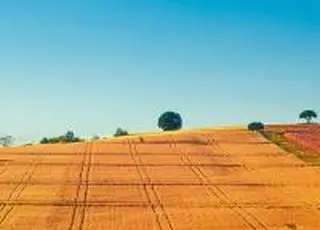 Уряд затвердив програму розвитку виробництва біометану до 2035 року