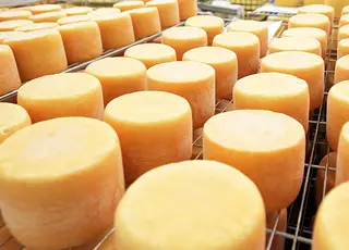 Виробництво молочних продуктів в Україні у 2025 році: статистика за січень-серпень