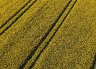 Світові аграрні ринки спокійно відреагували на події у Венесуелі