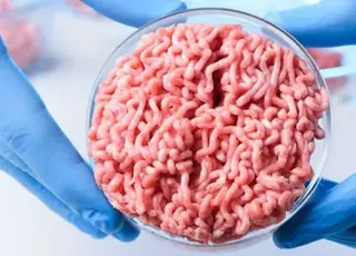 Європарламент обмежив використання м’ясних назв для рослинних продуктів