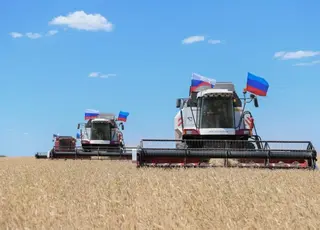 Швеція вперше заарештувала судно, підозрюване в крадіжці українського зерна