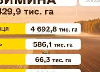 Станом на 25 листопада українські аграрії засіяли 6 429,9 тис. га озимих культур