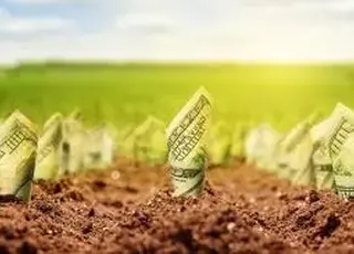 Середня вартість оренди державної землі становила 17 тис грн/га