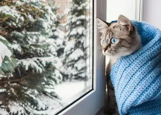 В Україні прогнозують похолодання