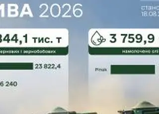 Жнива тривають: аграрії вже зібрали понад 30,8 млн тонн зерна