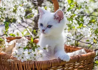 Стало відомо, коли в Україну прийде тепло