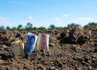 Стало відомо, як змінилася ціна гектара землі з моменту відкриття ринку в Україні