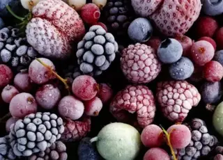 Нідерланди відкривають ринок для органічних заморожених ягід з України