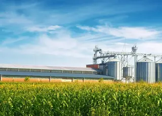 Аграрні підприємства суттєво збільшили обсяги зберігання зернових культур