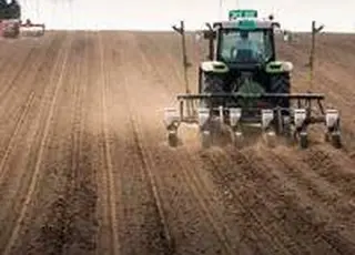 Аграрії продовжують сіяти попри погодні ризики