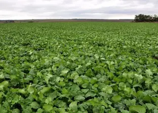 Регулярний моніторинг та надійний захист