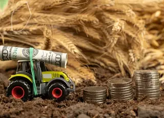 Чи вигідно інвестувати в сільськогосподарську землю в умовах відкритого ринку