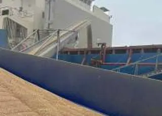 Термінал Agromino з початку сезону перевалив майже 100 тис. тонн зерна