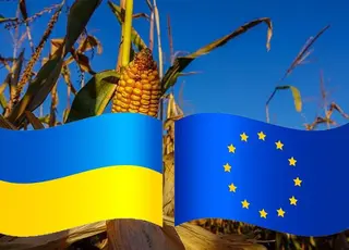 За пів року оборот торгівлі агропродукцією між Україною та ЄС склав $7,6 млрд