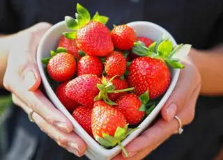 Виробникам полуниці дедалі важче заробляти попри зростання врожаїв