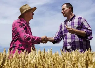 В Україні запускають програму підтримки сільських громад у прифронтових регіонах на 4 млн дол США