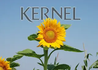 Внаслідок списання вагонів «Кернел» отримав збиток у 3,2 млн дол