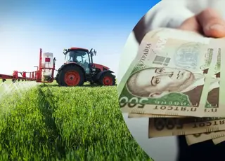 Мінфін України назвав основні напрямки держпідтримки АПК у 2026 р