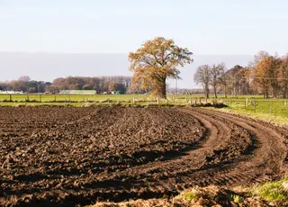 Арешт земельної ділянки: коли можливий і як оскаржити