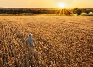 В Україні в агросфері працює 268 компаній з іноземними власниками