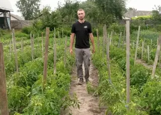 Молодий агроном із Чернігівщини вирощує майже 300 сортів помідорів