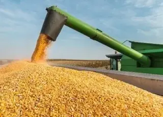 Виробництво агропродукції в Україні знизилося на 8,4% за вісім місяців 2025 року