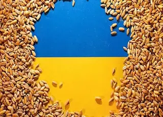«Тіньовий» експорт зерна в Україні скоротився