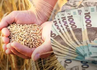 Озвучено оновлені ціни на зернові в Україні