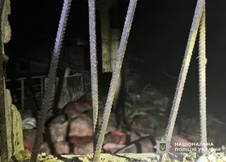 Внаслідок російських обстрілів на Чернігівщині пошкоджено ферму та лісництво