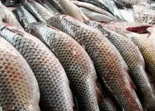 Ціни на рибу в Україні злетять на третину