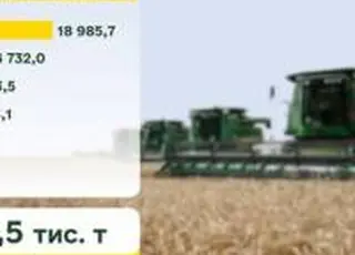 В Україні зібрано майже 25 млн тонн зерна