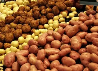 Врожайність картоплі призвела до зниження цін у Молдові та Україні