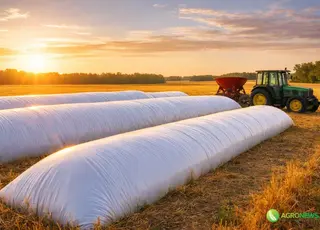 Рукави для зберігання зерна замість складу: чи визнає це податкова як законне сховище