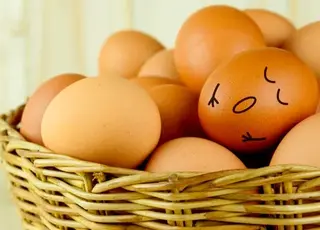 В США рекордно падають ціни на курячі яйця