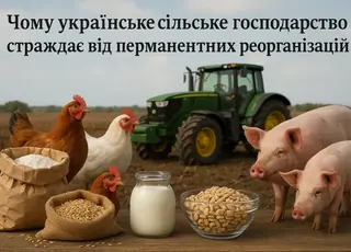 Озвучено наслідки відсутності сталої аграрної політики для продовольчої безпеки країни