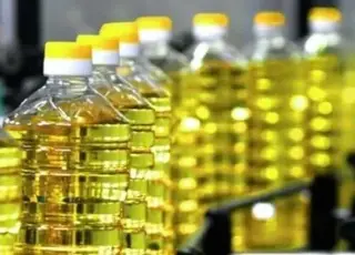 Україна встановила рекорд з експорту соняшникової олії до Індії у липні 2024