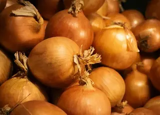 Експорт озимої цибулі відкриває нові можливості для малих фермерів