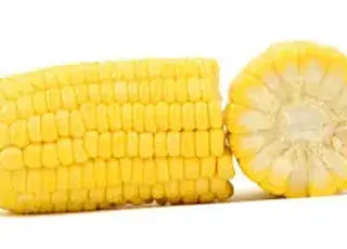 USDA підвищило прогноз світового виробництва кукурудзи на новий сезон
