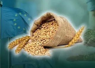 Словаччина ініціювала обговорення у Раді ЄС обмеження українського агроекспорту