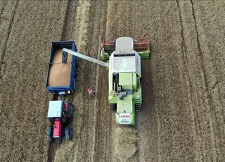 Збирання врожаю-2025 завершено на 65% площ