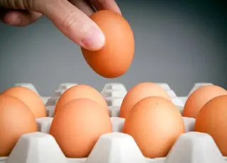 Попит на українські яйця зростає в Європі