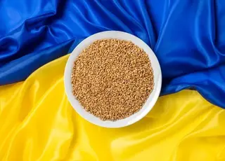 Український експорт зерна у 2025/26 МР скоротився на 38,7% станом на жовтень