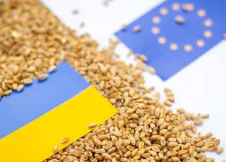Шмигаль не бачить загроз через відновлення ЄС квоти на імпорт с/г товарів з України