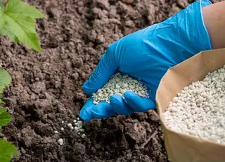 OSTCHEM оновив ціни на добрива