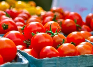 Стало відомо, як в Україні змінилися ціни на помідори