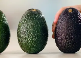 Найбільший у світі виробник авокадо страждає від наркокартелів