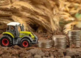 Світовий банк додатково виділив $50 млн на підтримку українських аграріїв