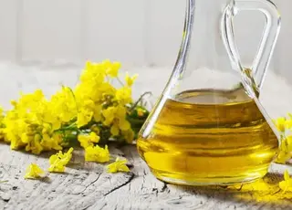 Україна встановила рекорд з експорту ріпакової олії до ЄС у вересні