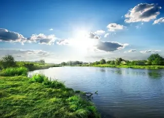 Експосадовицю Держгеокадастру судитимуть за махінації із землями заповідника