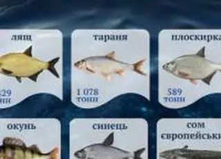 Промисловий вилов риби за дев’ять місяців зріс на 10%